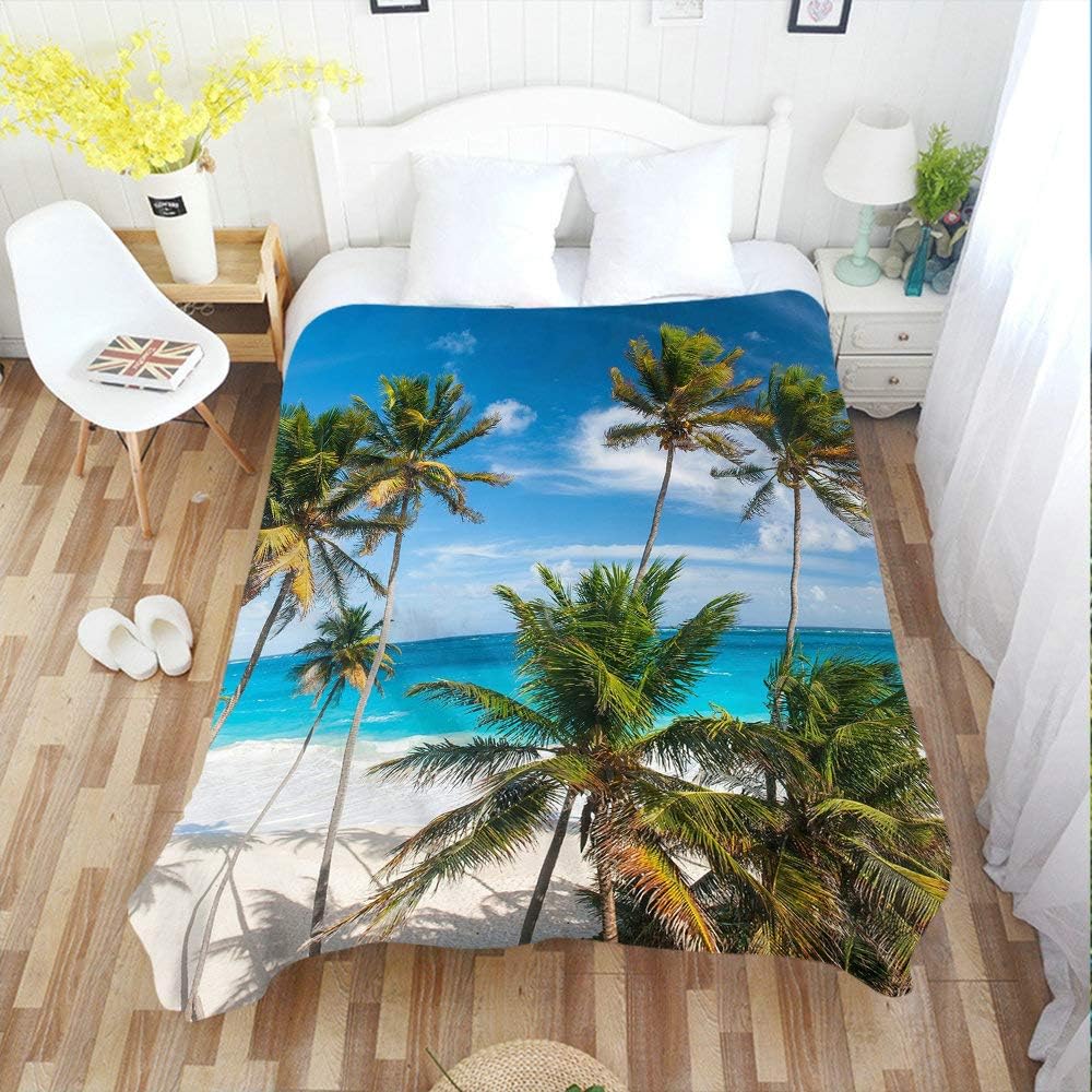 Moslion Manta suave y acogedora con palmera azul y mar cálido para sofácama para adultosjóvenes, poliéster 40 x 50 pulgadas (casaviajecamping
