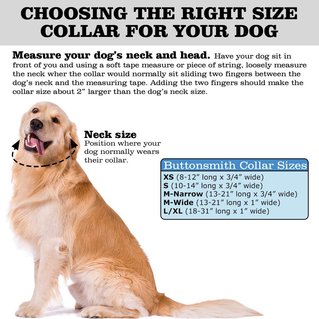 Buttonsmith – Collar artístico para perro, impresión a prueba de decoloración, hebilla de grado militar, fabricado en los Estados Unidos, Morris