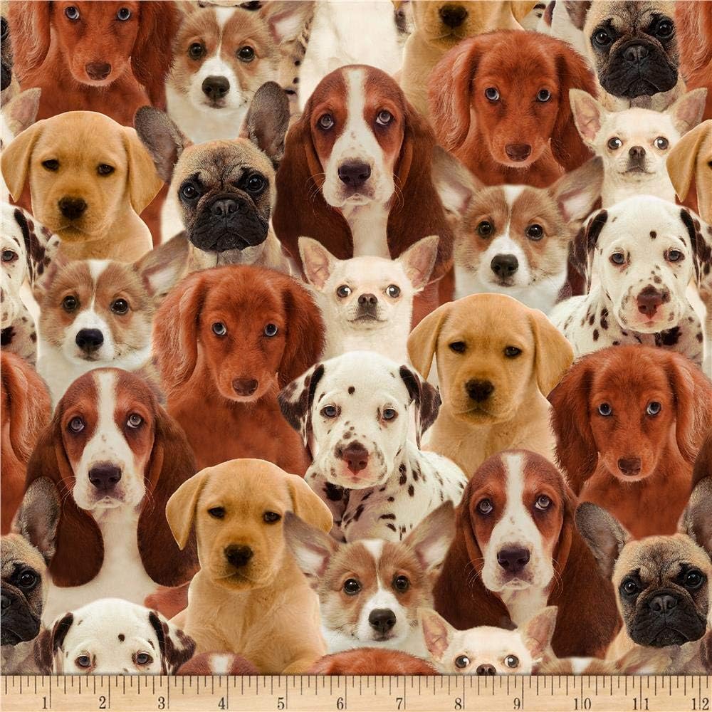 One Of A Kind Puppies Multi, tela por yarda