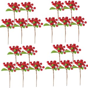 Abaodam 20 Pcs Red Berries Holly Berry Stems Red Berry Twig Winter Holiday Berry Stems Faux Pine Picks Christmas Berry Stems Christmas Berry Picks Abaodam 20 Pcs Red Berries Holly Berry Stems Red Berry Twig Winter Holiday Berry Stems Faux Pine Picks Christmas Berry Stems Christmas Berry Picks