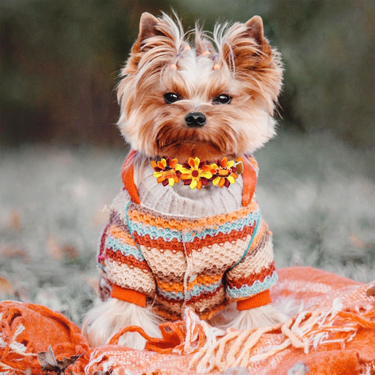 40 lazos de aseo para perros de Acción de Gracias, a granel, ajustables, con pétalos coloridos, accesorios de aseo para mascotas, lazos de flores de