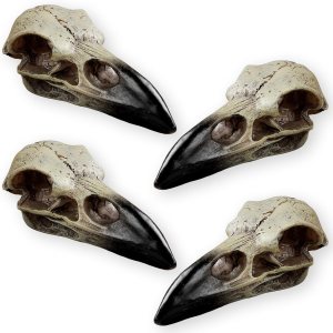 Calavera de cuervo de Halloween, estatua gótica de cuervo de cráneo de animal, decoración de hueso falso, collar de cuervo para la cabeza, dije de Calavera de cuervo de Halloween, estatua gótica de cuervo de cráneo de animal, decoración de hueso falso, collar de cuervo para la cabeza, dije de