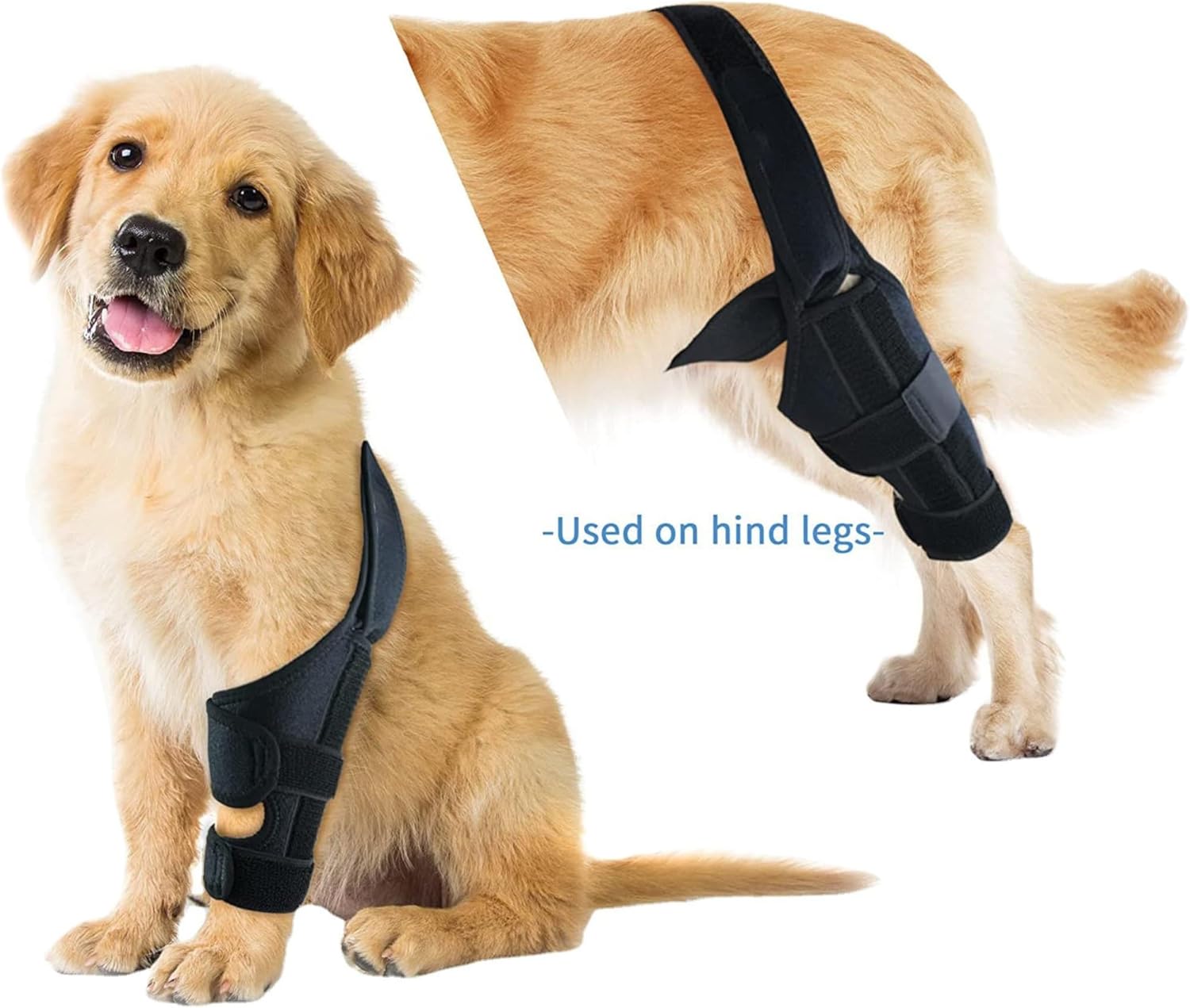 HVSun Rodillera para perro para pierna trasera y trasera, soporte para perro ACL CCL Lesión del ligamento cruzado dolor articular y dolor muscular