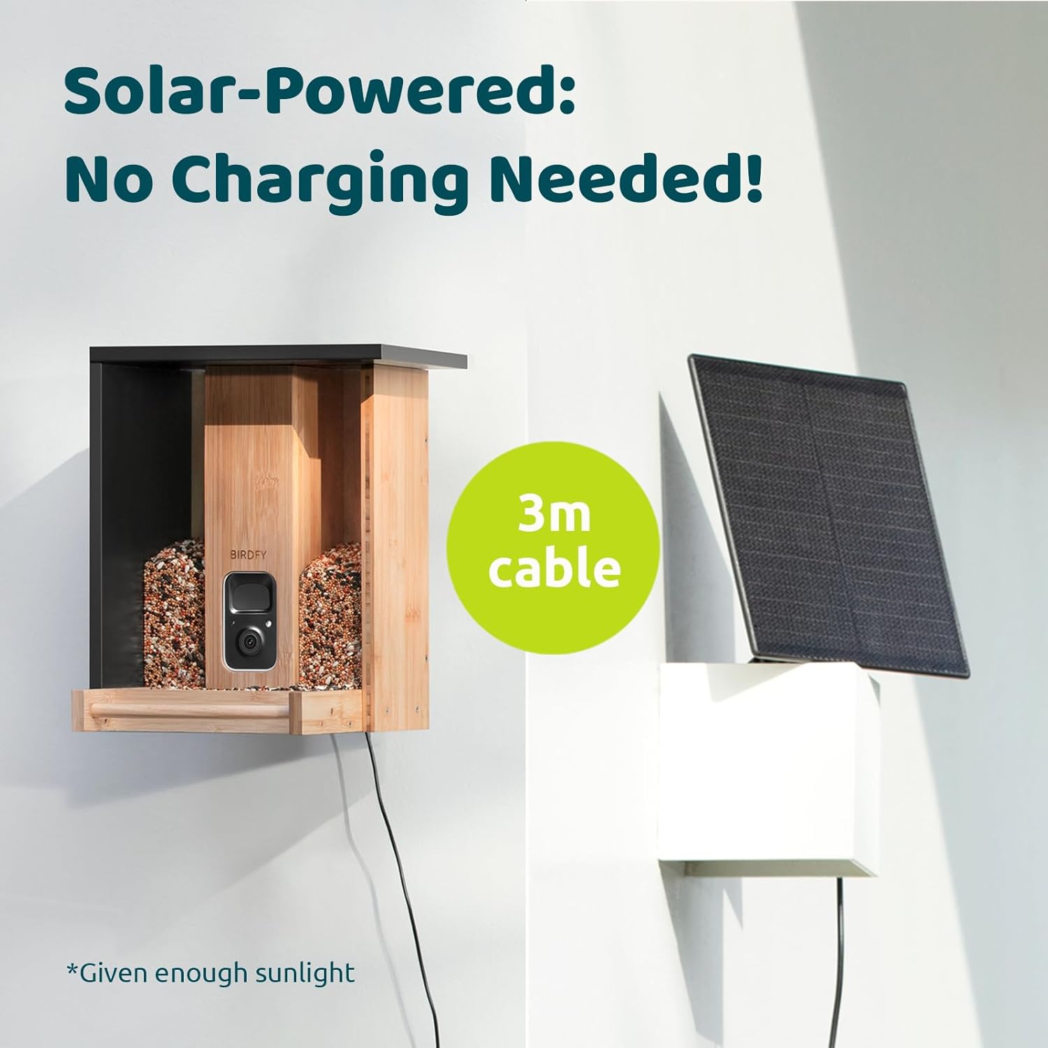 NETVUE Birdfy – Comedero inteligente mejorado para pájaros con cámara alimentado por energía solar, captura automáticamente cada pájaro y notifica a