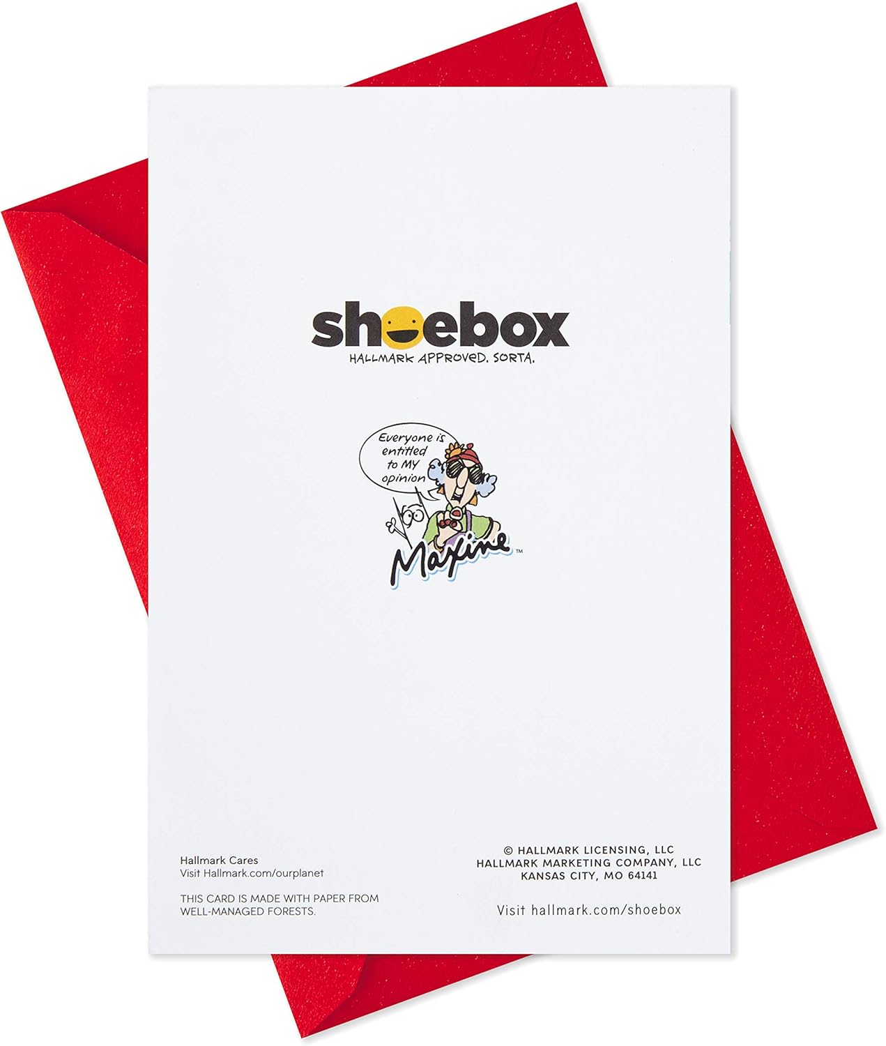 Hallmark Shoebox Tarjeta de Navidad divertida (Familias) (399XXH1024)