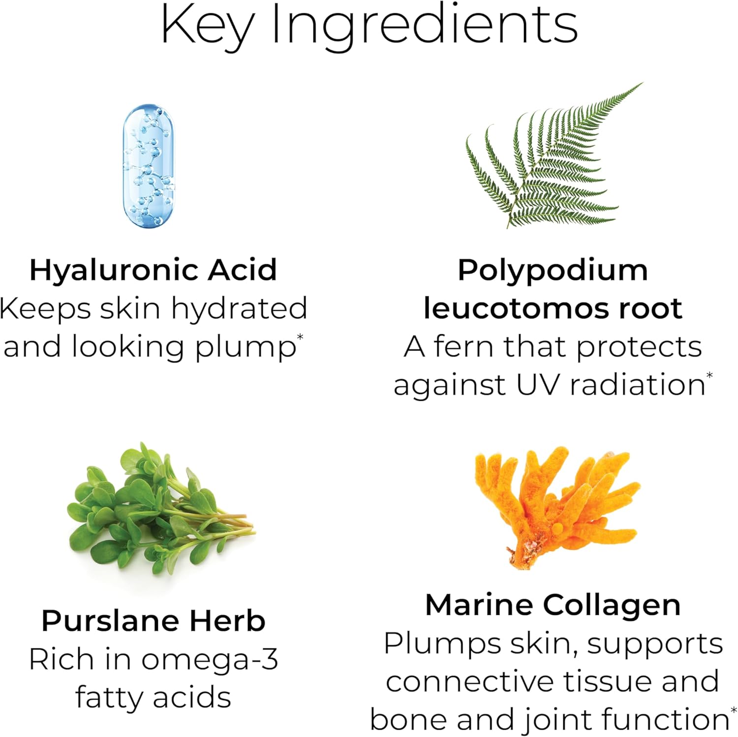Hush & Hush TimeCapsule Multivitamínico para mujeres, multivitamínico para hombres, suplementos nutracéuticos limpios que contienen ácido