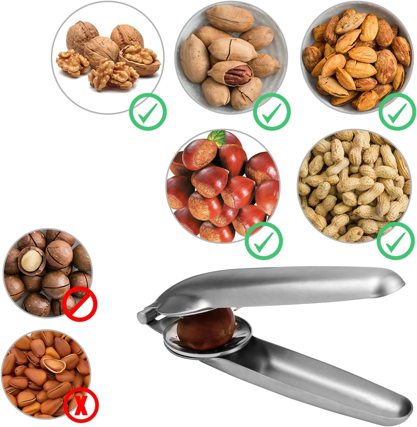 Anwenk – Juego de 2 pinzas de cascanueces de Anwenk para pelar nueces, nuez y nuez, abridor de alicates de acero inoxidable 304, herramientas de