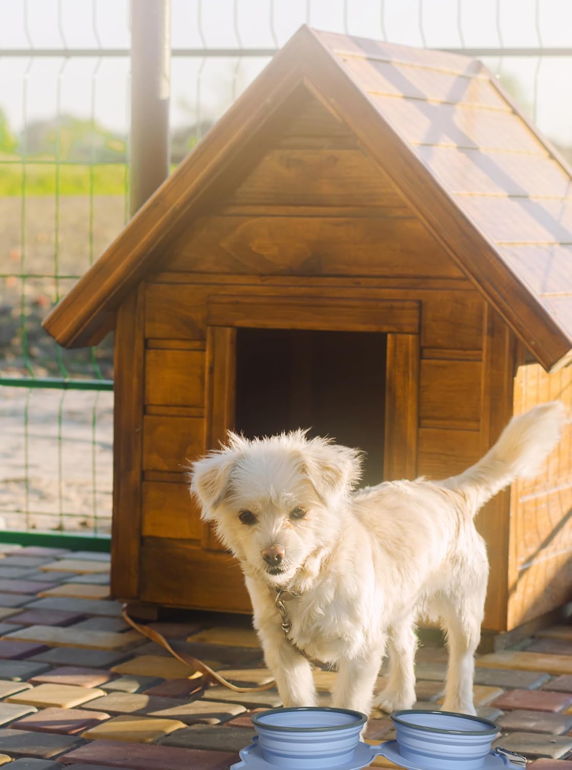 Good Dog – Cuencos dobles plegables para perros, bordes reforzados duraderos, cuencos de comida y agua de viaje, cuenco plegable para alimentación