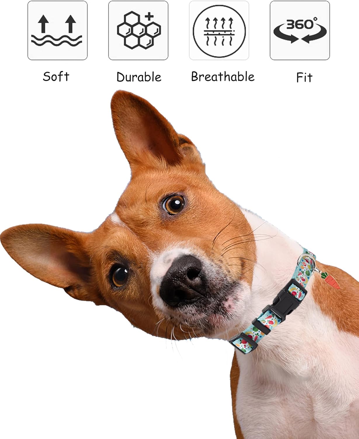 Lindo collar de perro para perros pequeños, collar de perro pequeño para hembras y machos, collares de perros niños y niñas, collar de perro de
