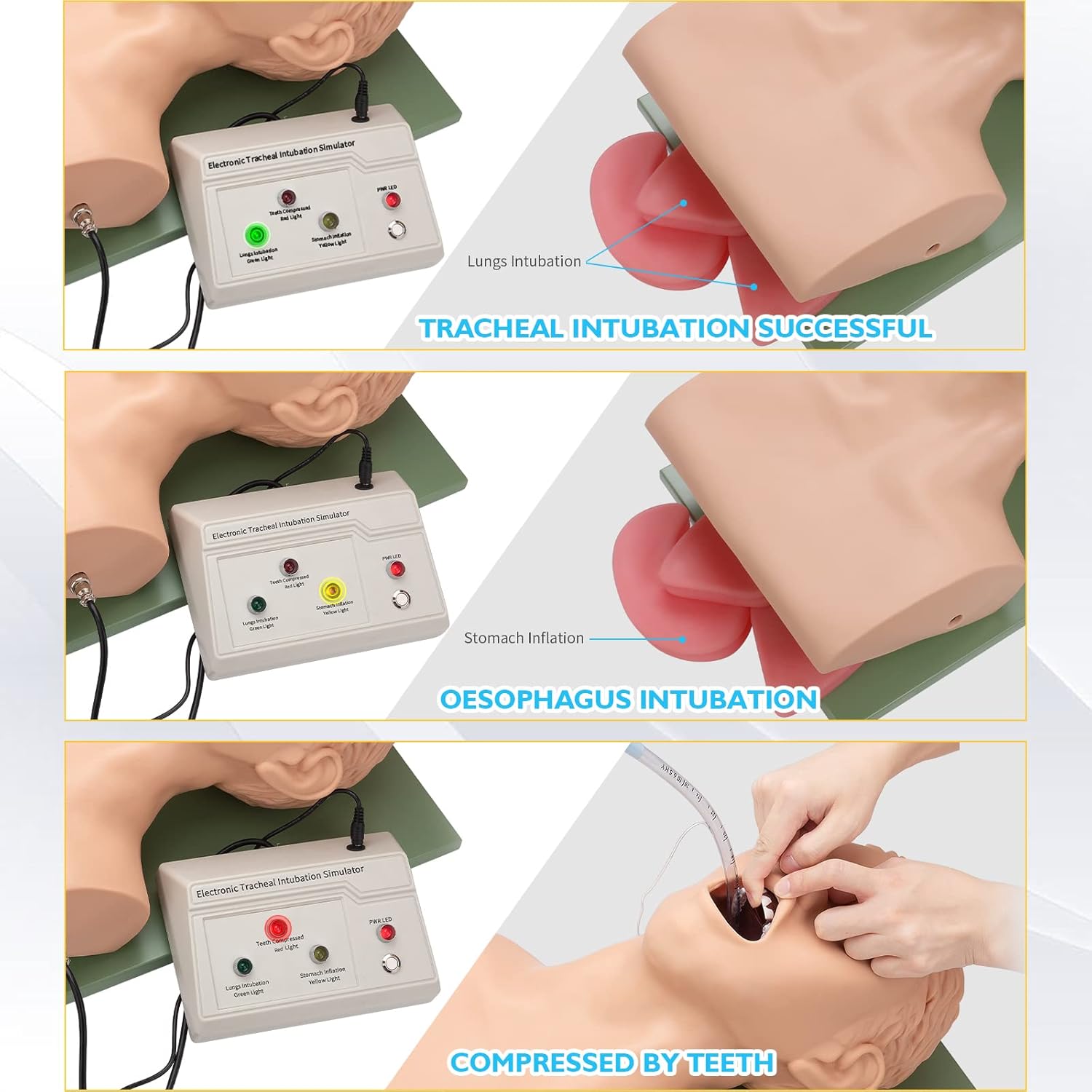 ANNWAH Maniquí de simulador de intubación traqueal Manejo de las vías respiratorias Ayuda de enseñanza con tubo endotraqueal, modelo humano de