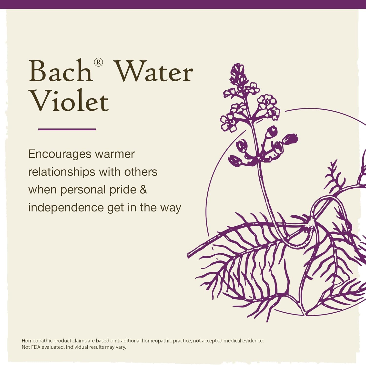 Bach Remedios florales originales, violeta agua para conectarse con otros (fórmula sin alcohol), esencia floral homeopática natural, bienestar