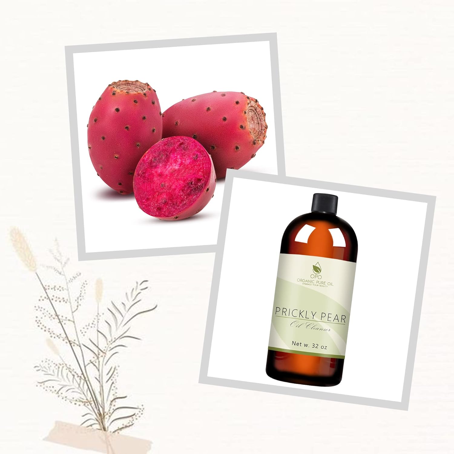 Aceite de limpieza profunda para el cuidado de la piel de tuna  Incluye aceites amantes del cabello  100% aceite de tuna  aceite de jojoba, aceite