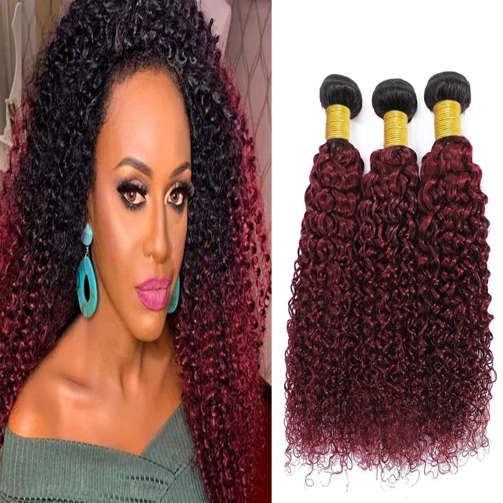 Extensiones de cabello humano ondulado brasileño de doble trama de color negro a rojo vino