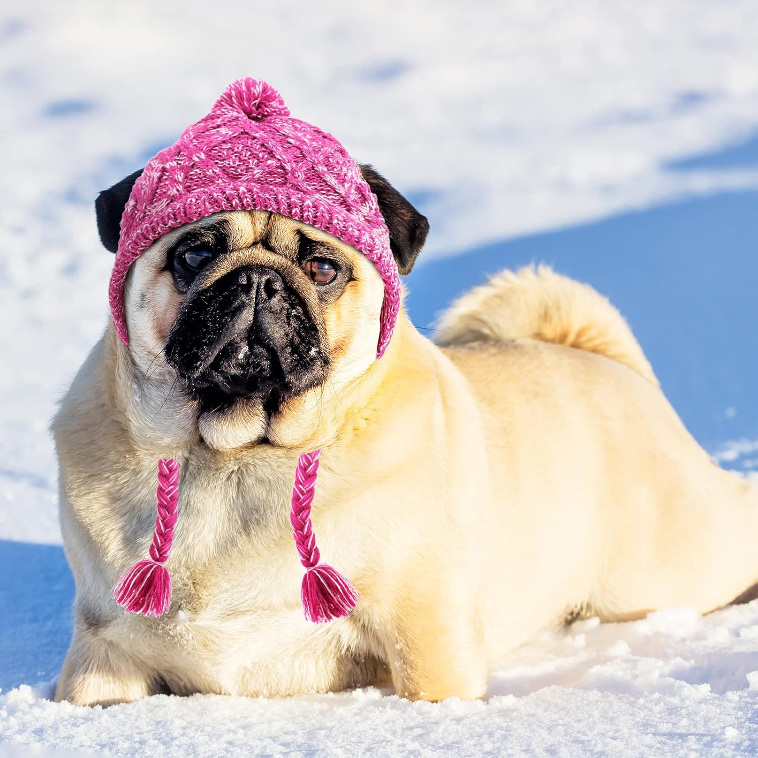 Gorro de invierno para perro, 2 piezas, cálido gorro de pompón, gorro de punto para perro cachorro con agujeros para las orejas, gorro de punto para