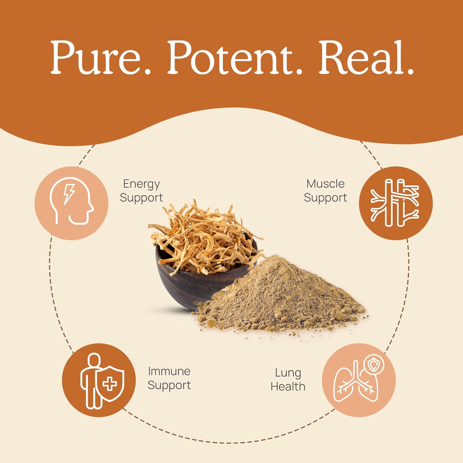 Real Mushrooms Cordyceps Powder – Polvo de extracto de hongos de alto rendimiento con Cordyceps Militaris orgánico para apoyo energético e