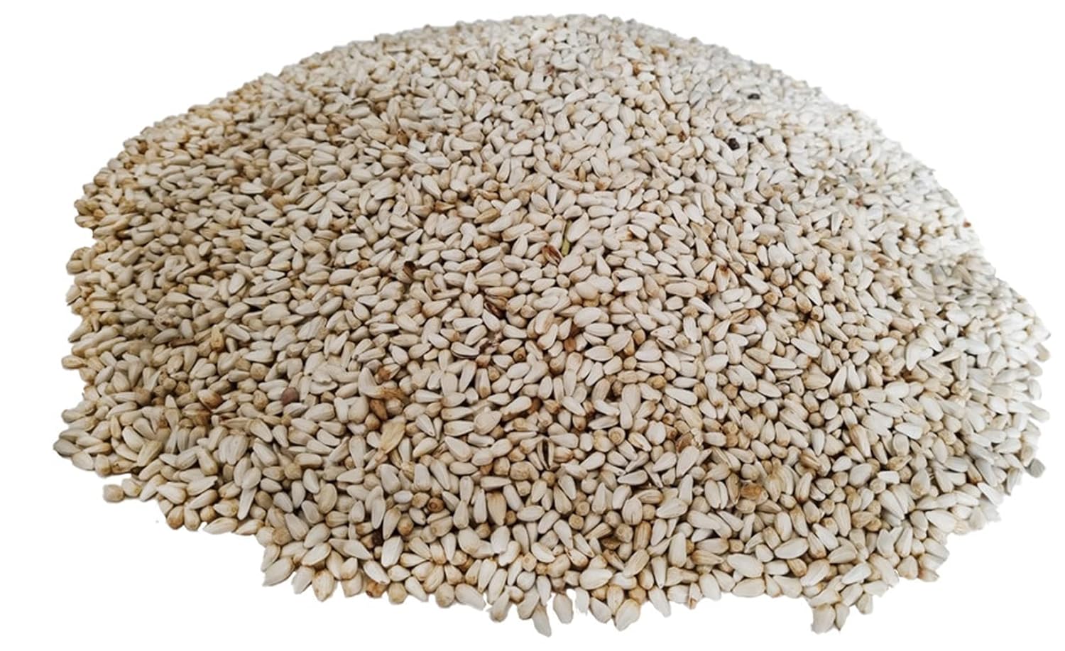 Bolsa de té de semilla de cártamo tostado puro orgánico natural, 50 bolsas de té (filtros biodegradables de bolsas de té de ácido poliláctico)