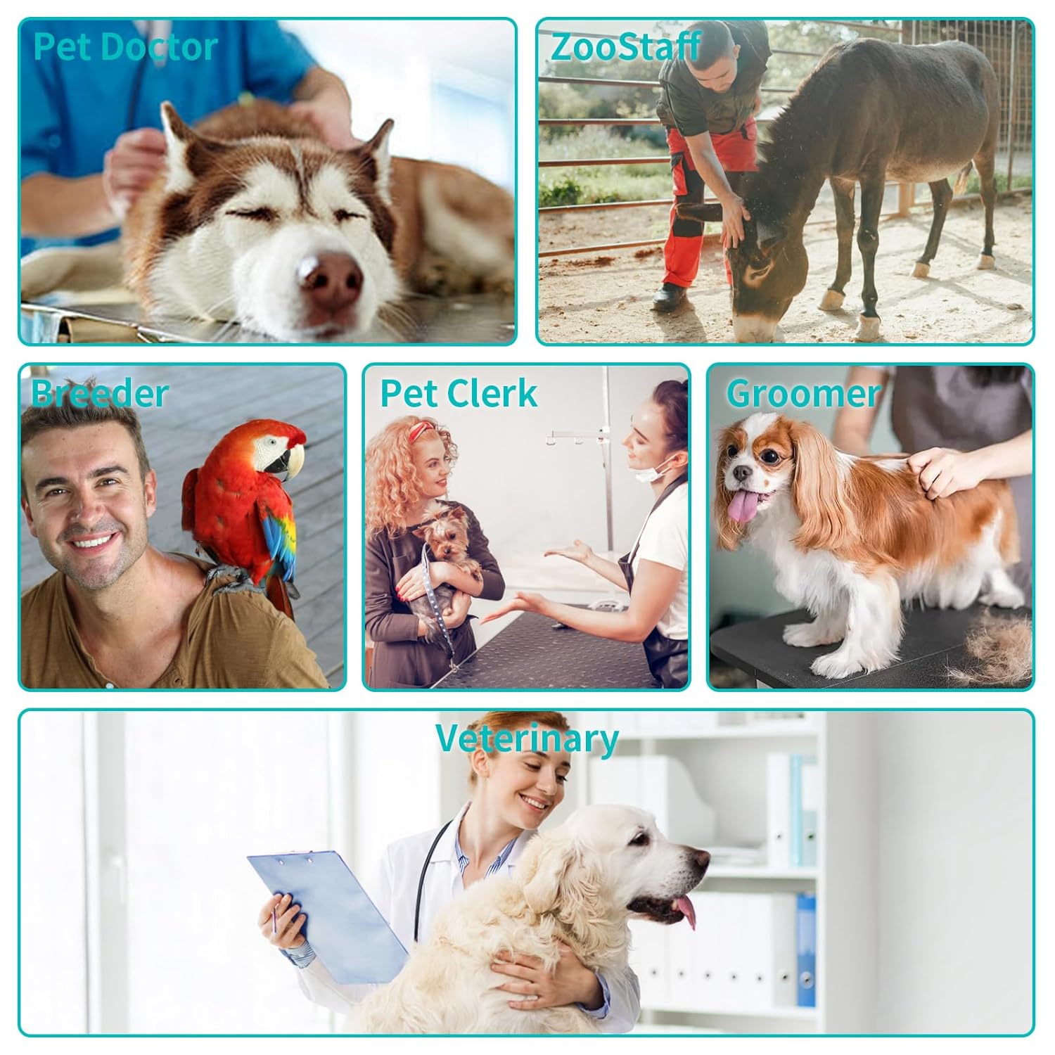 Guantes de manipulación de animales, a prueba de mordeduras, doble acolchado reforzado de cuero para perro, gato y gato, manejo de pájaros, guantes