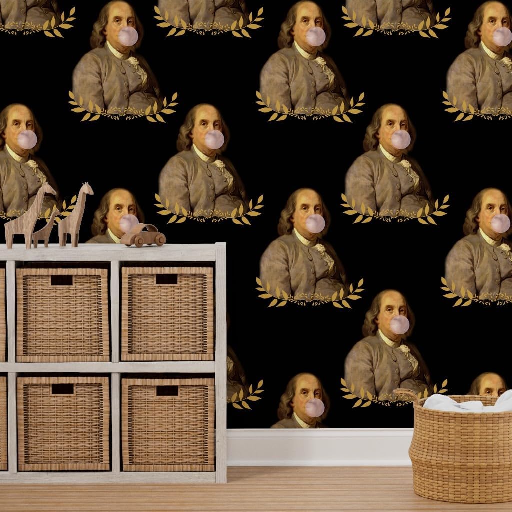 Spoonflower Papel tapiz autoadhesivo de 6 x 2 pies  Benjamin Franklin President Historical Whimsical Bubblegum papel tapiz extraíble personalizado