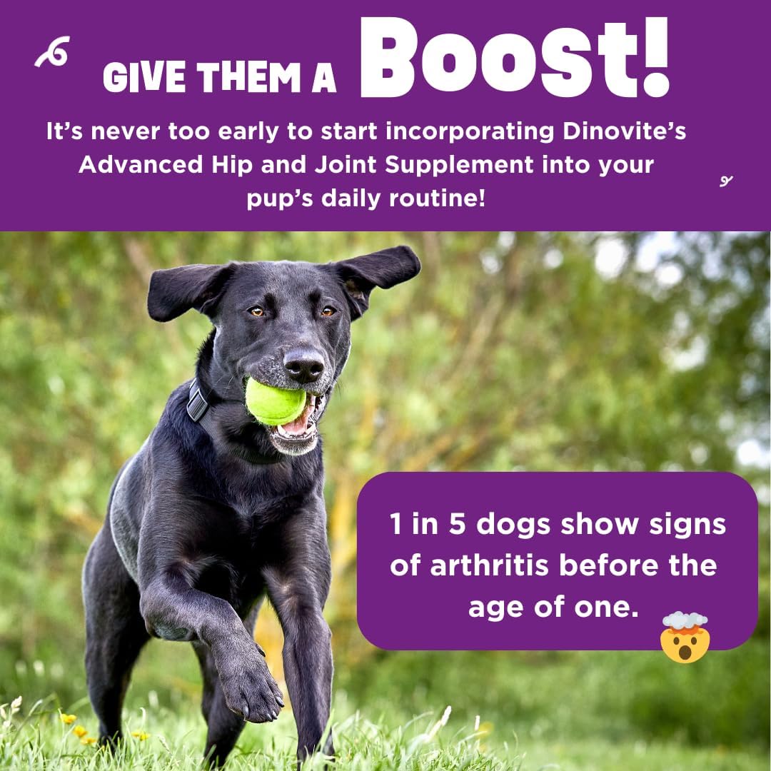 Dinovite BeneBoost – Cubrealimentos líquidos para caderas y articulaciones para perros, suplemento de glucosamina, decoración de comida de movilidad