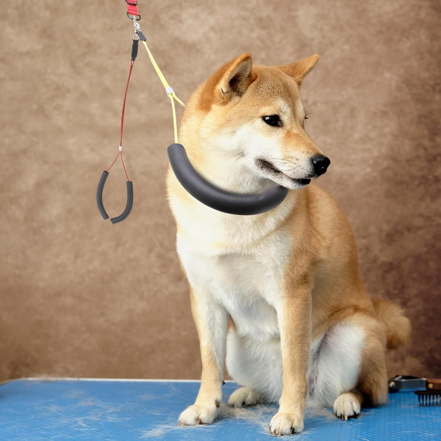 Juego de 3 correas para el vientre para aseo de perros, arnés ajustable para mesa de brazo para perros grandes, baño de mascotas, soporte para