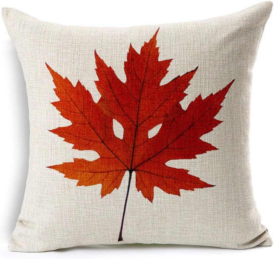 All Smiles Juego de 4 fundas de almohada decorativas de otoño de 20 x 20 pulgadas para el hogar, Acción de Gracias, otoño, decoración de cocina,