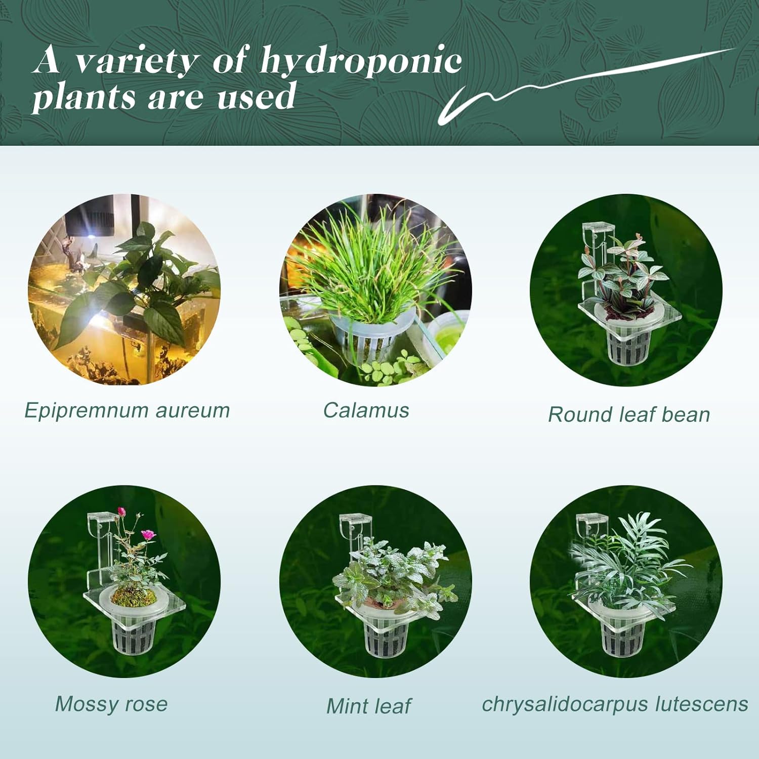 Soporte acrílico para plantas de acuario para colgar plantas acuáticas, gancho ajustable, maceta para plantas colgantes y decoración de acuarios