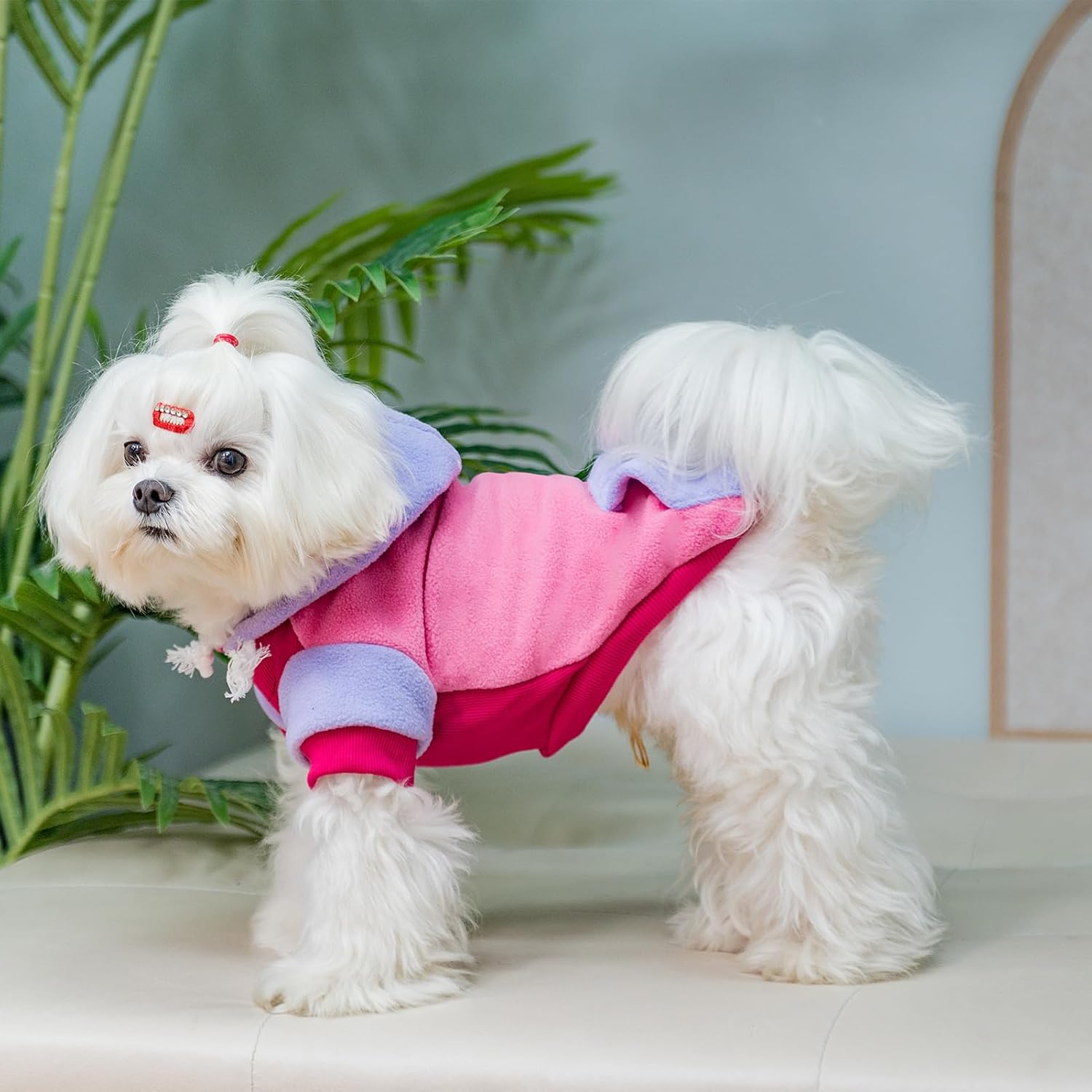 PUPTECK Sudadera de forro polar con capucha para perro, ropa suave y cálida con capucha para perros pequeños y medianos, para otoño e invierno,