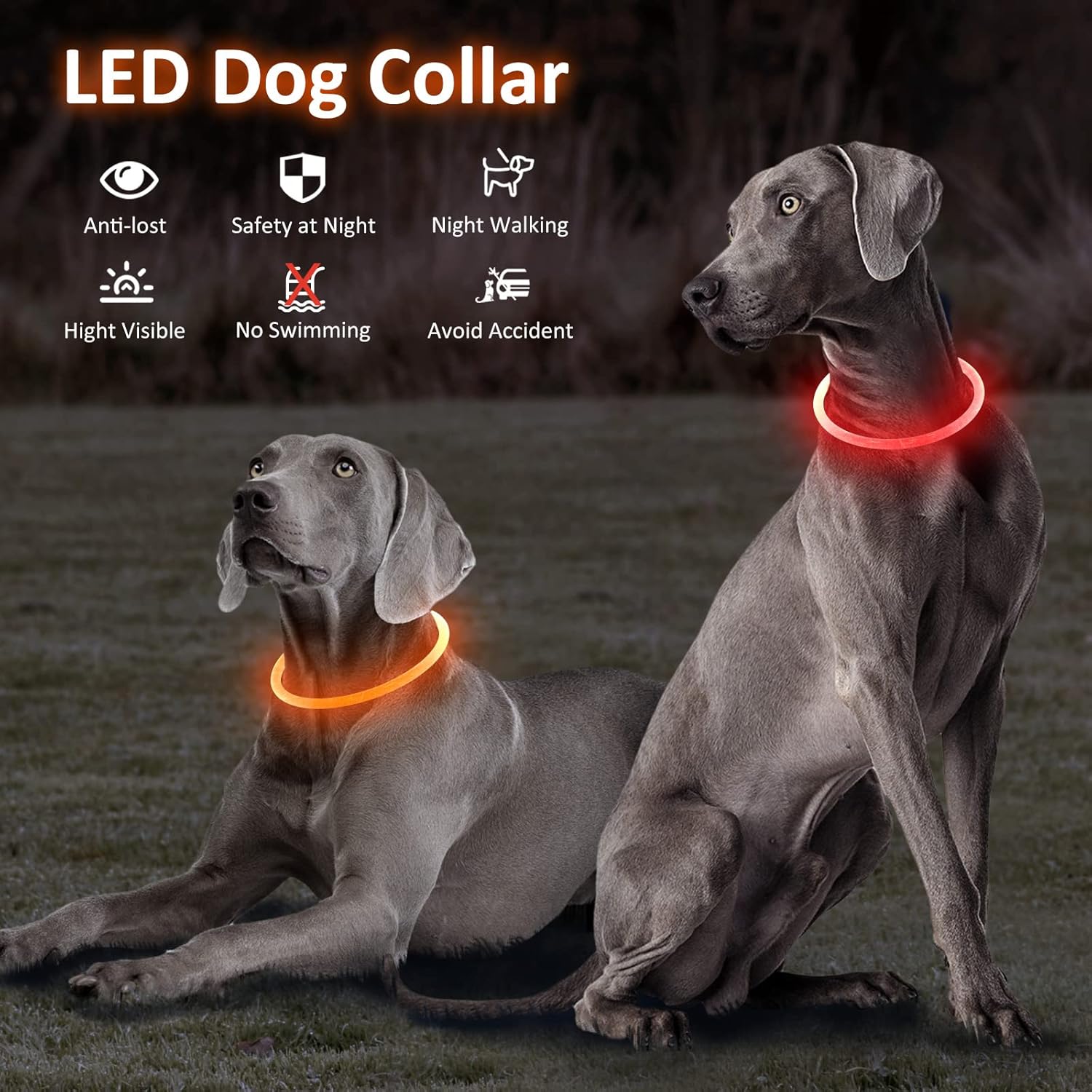 Bpawser Collar de perro con luz LED, 1 unidad recargable por USB, TPU brillante, collares básicos de seguridad para perros grandes, medianos y