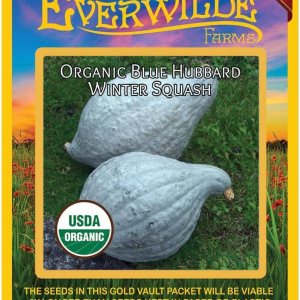 Everwilde Farms – 10 semillas de calabaza de invierno Hubbard azul orgánico – Paquete Gold Vault Everwilde Farms – 10 semillas de calabaza de invierno Hubbard azul orgánico – Paquete Gold Vault