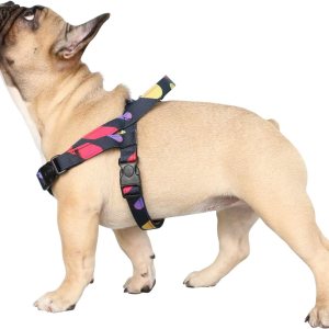 iChoue Arnés para perro, fácil de poner y quitar, arnés ajustable ligero con asa para perros pequeños y medianos, tamaño M iChoue Arnés para perro, fácil de poner y quitar, arnés ajustable ligero con asa para perros pequeños y medianos, tamaño M