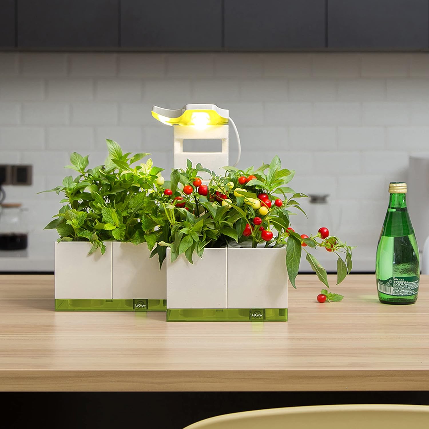 LeGrow Jardín interior con luces de crecimiento, temporizador automático de 12 horas, 8 macetas de riego automático con 7 días sin riego, jardín de