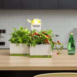 LeGrow Jardín interior con luces de crecimiento, temporizador automático de 12 horas, 8 macetas de riego automático con 7 días sin riego, jardín de LeGrow Jardín interior con luces de crecimiento, temporizador automático de 12 horas, 8 macetas de riego automático con 7 días sin riego, jardín de