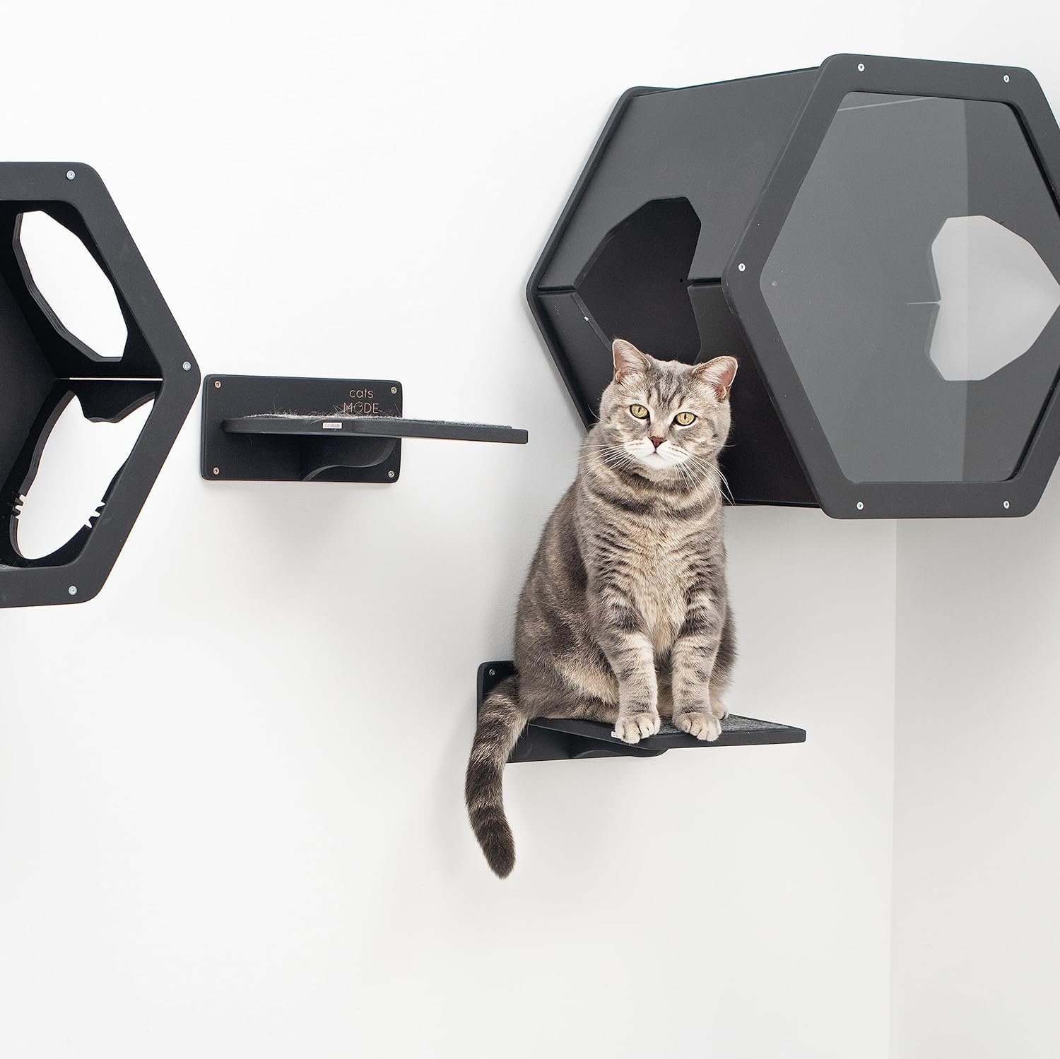 Wall Cat Shelves Wood Cat Wall Shelves Cat Furniture – Wooden Cat Shelf Wall Mounted Cat Wall Furniture – Indoor Cats Rustic Cat Decor Cat Lover