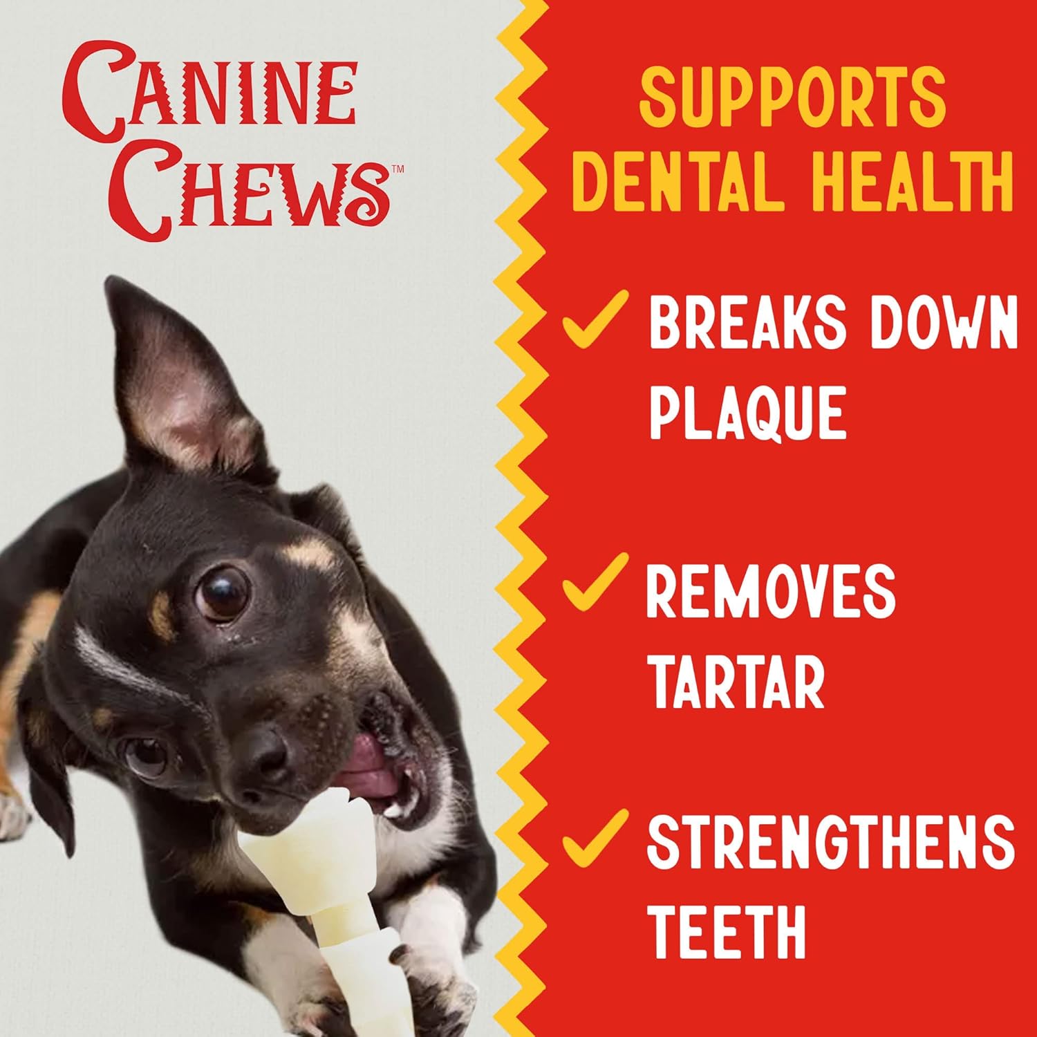 Canine Chews Mini huesos de cuero crudo anudados de 2-3 pulgadas para perros pequeños, golosinas naturales para perros masticables (paquete de 8)