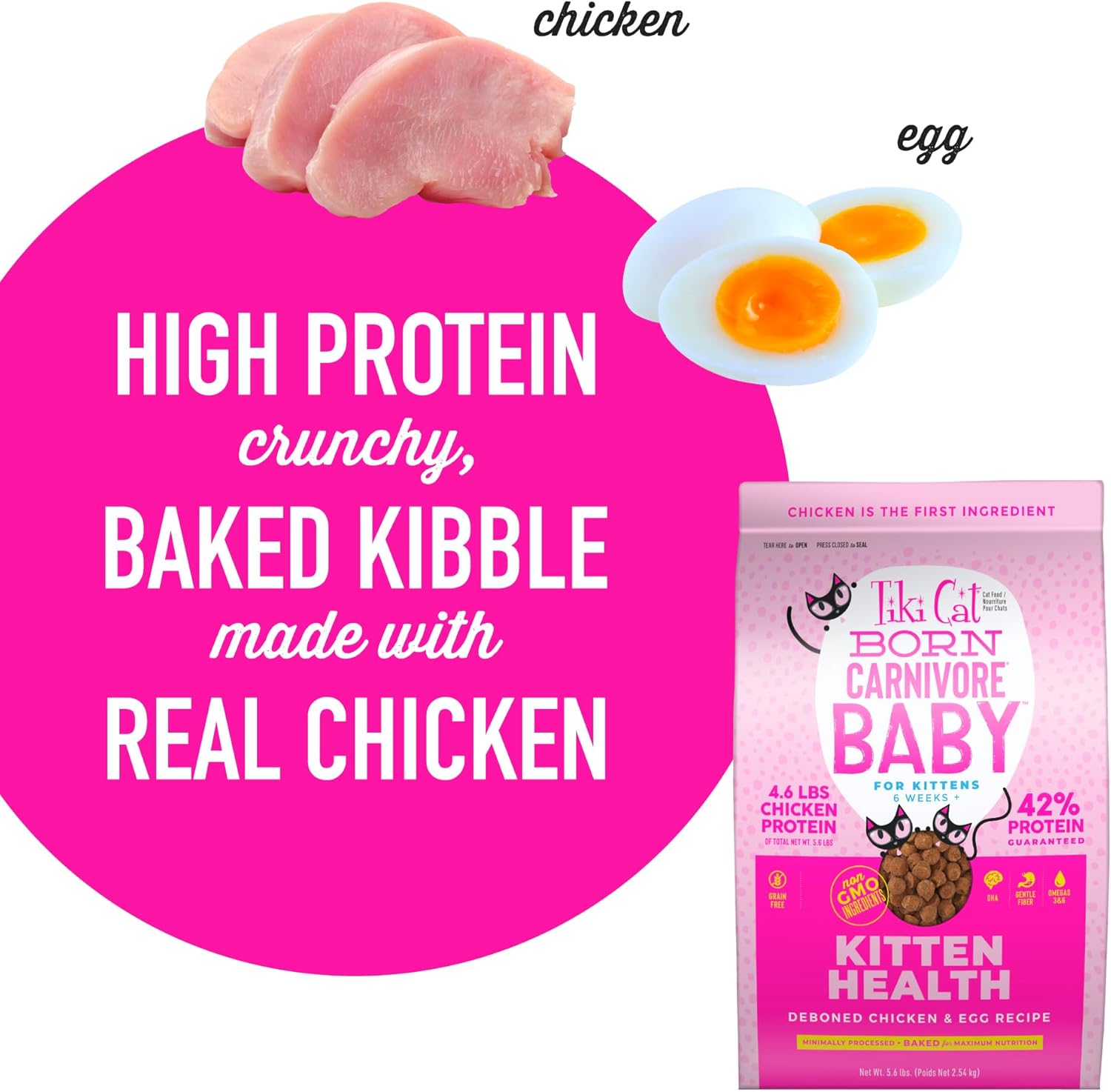 Tiki Cat Born Carnivore Baby, alto en proteínas y sin granos, alimento seco completo y equilibrado para gatos para gatitos de 6 semanas en adelante,