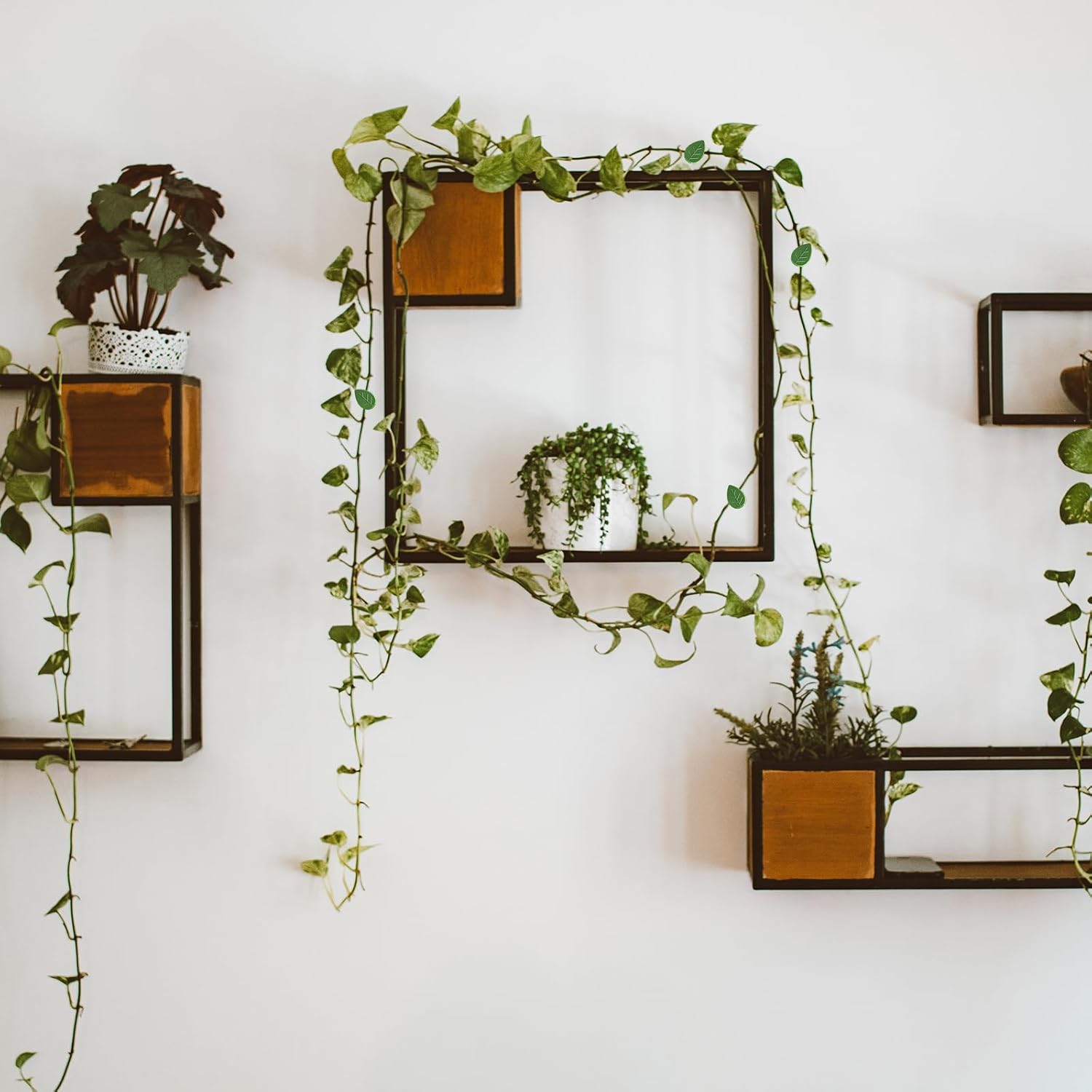 Nicunom 150 clips de pared para escalada de plantas con 180 calcomanías adhesivas, clips de plantas para plantas trepadoras, clips invisibles de vid