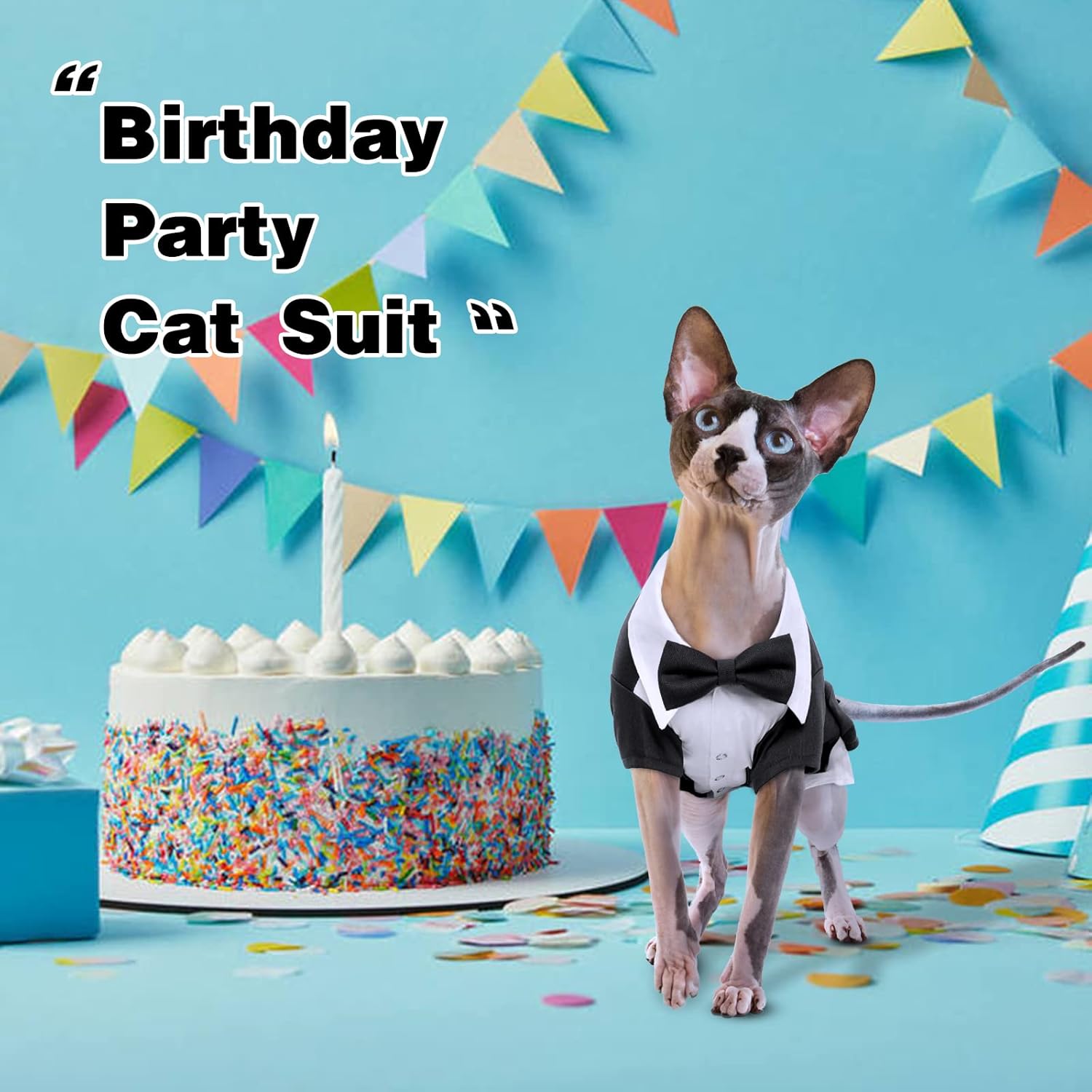 DENTRUN Traje de esmoquin de gato con dos corbatines, elegante camisa de gato, atuendo formal de gato, ropa de moda de gato sin pelo, atuendo formal