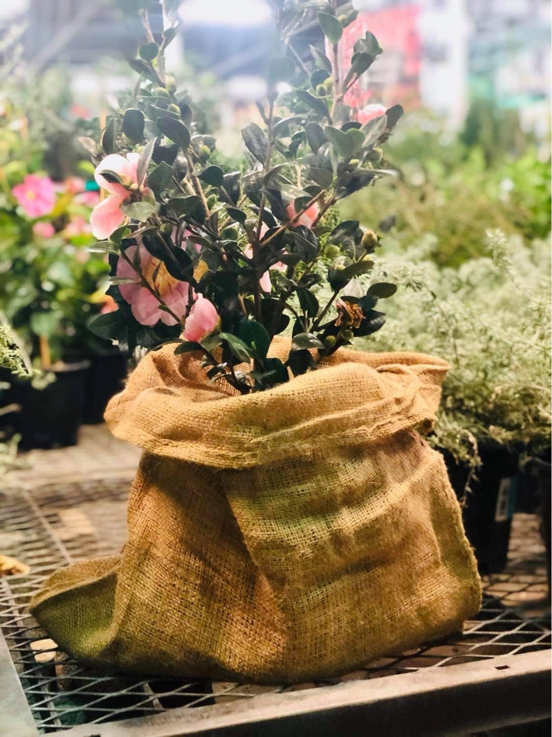 Bolsas de arpillera Sacos de patata 18″ x 30″ (4PACK) Bolsas de cultivo para césped y jardinería – Se envía desde Estados Unidos