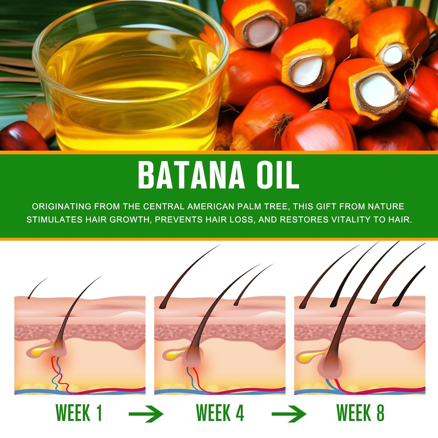 Tiuedu Aceite de batana orgánico para el cabello, aceite hidratante de batana 100% puro para cabello, cara, piel y cuerpo, aceite de batana natural