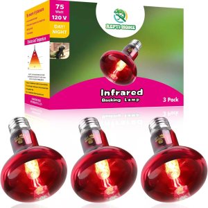 REPTI HOME Paquete de 3 bombillas infrarrojas de calor para reptiles, 75 W, para reptiles y anfibios, bombilla infrarroja emisora de calor para REPTI HOME Paquete de 3 bombillas infrarrojas de calor para reptiles, 75 W, para reptiles y anfibios, bombilla infrarroja emisora de calor para