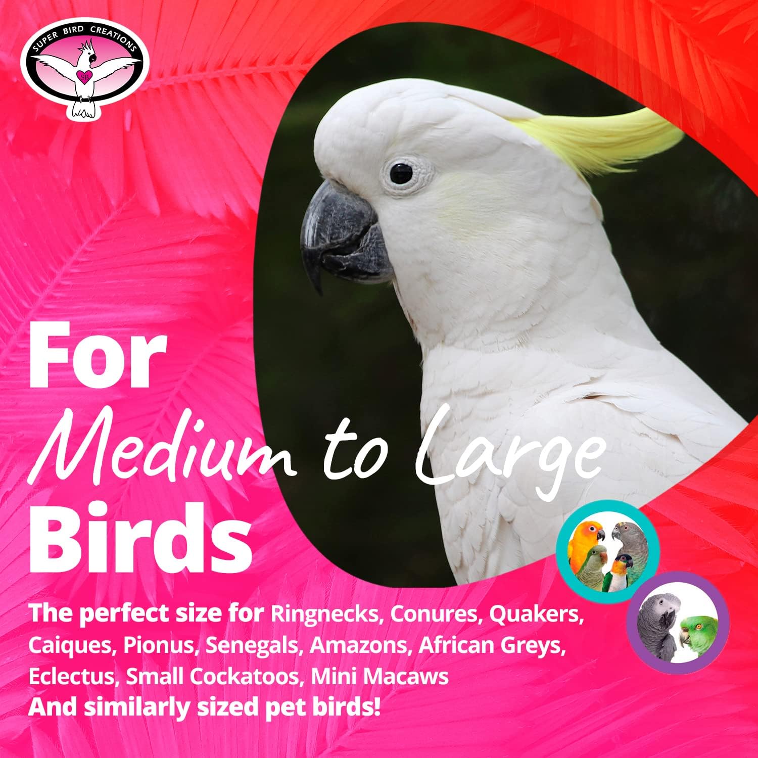 Super Bird Creations SB760 – Juego de 3 bolas de gofres para pájaros, varía