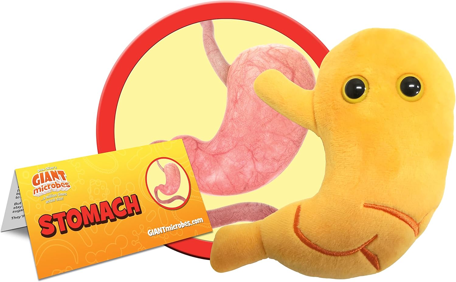 GIANTmicrobes – Peluche estomacal  Juguete anatómico de órgano, regalo de recuperación de cirugía bariátrica, regalos de bypass gástrico, manga