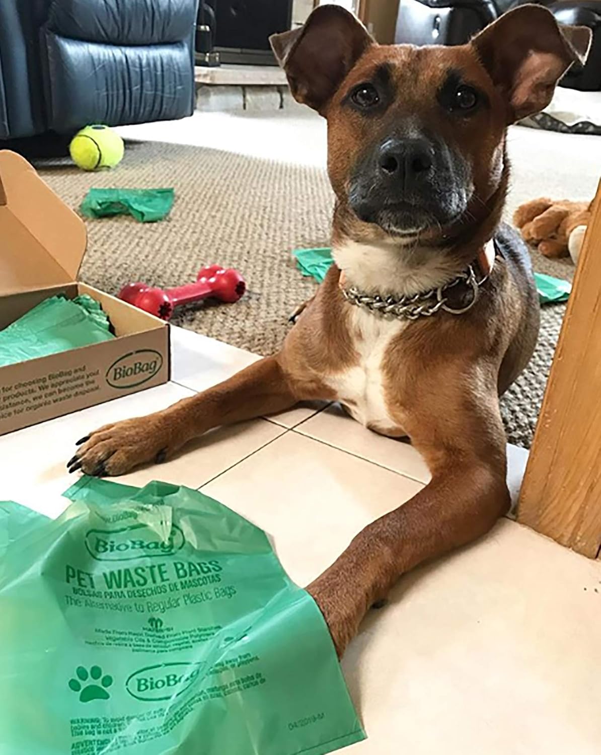 Bolsa de basura para mascota Bio Bag Premium, Negro
