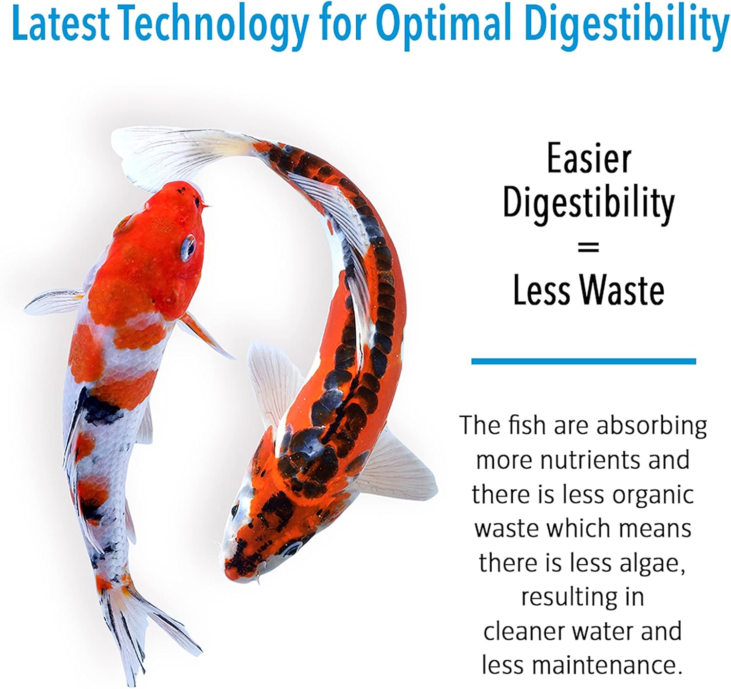 MICROBE-LIFT MLLIXL – Palitos de comida inmunoestimulante para peces, estanques, jardines acuáticos y fuentes, seguros para peces dorados vivos y
