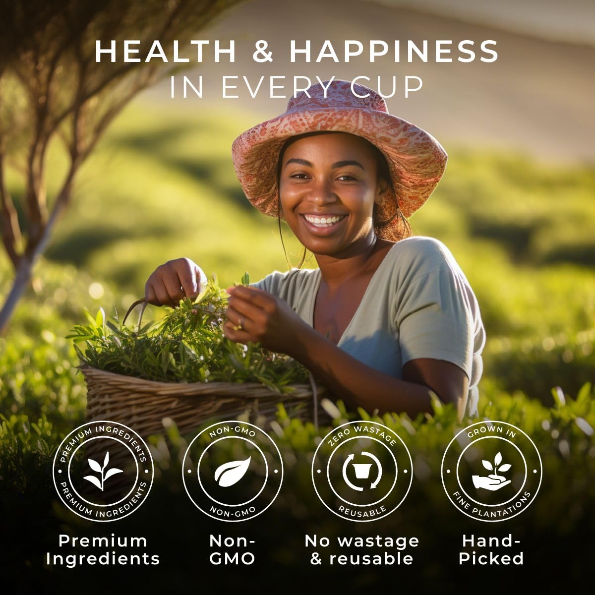 Gya Tea Co Pure Rooibos Tea K Cups para Keurig  Té suave sin cafeína K Cups para Keurig  Comienza el día con cápsulas de té para Keurig  Cápsulas de