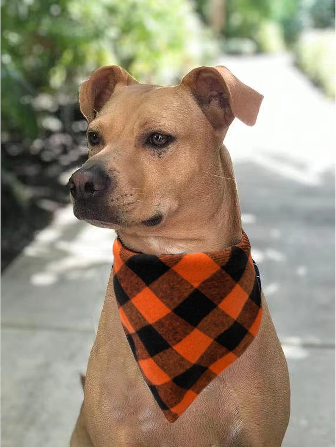 Realeaf Bandanas de otoño para perros de Acción de Gracias, paquete de 2, bufanda naranja a cuadros para mascotas para niños y niñas, tela duradera