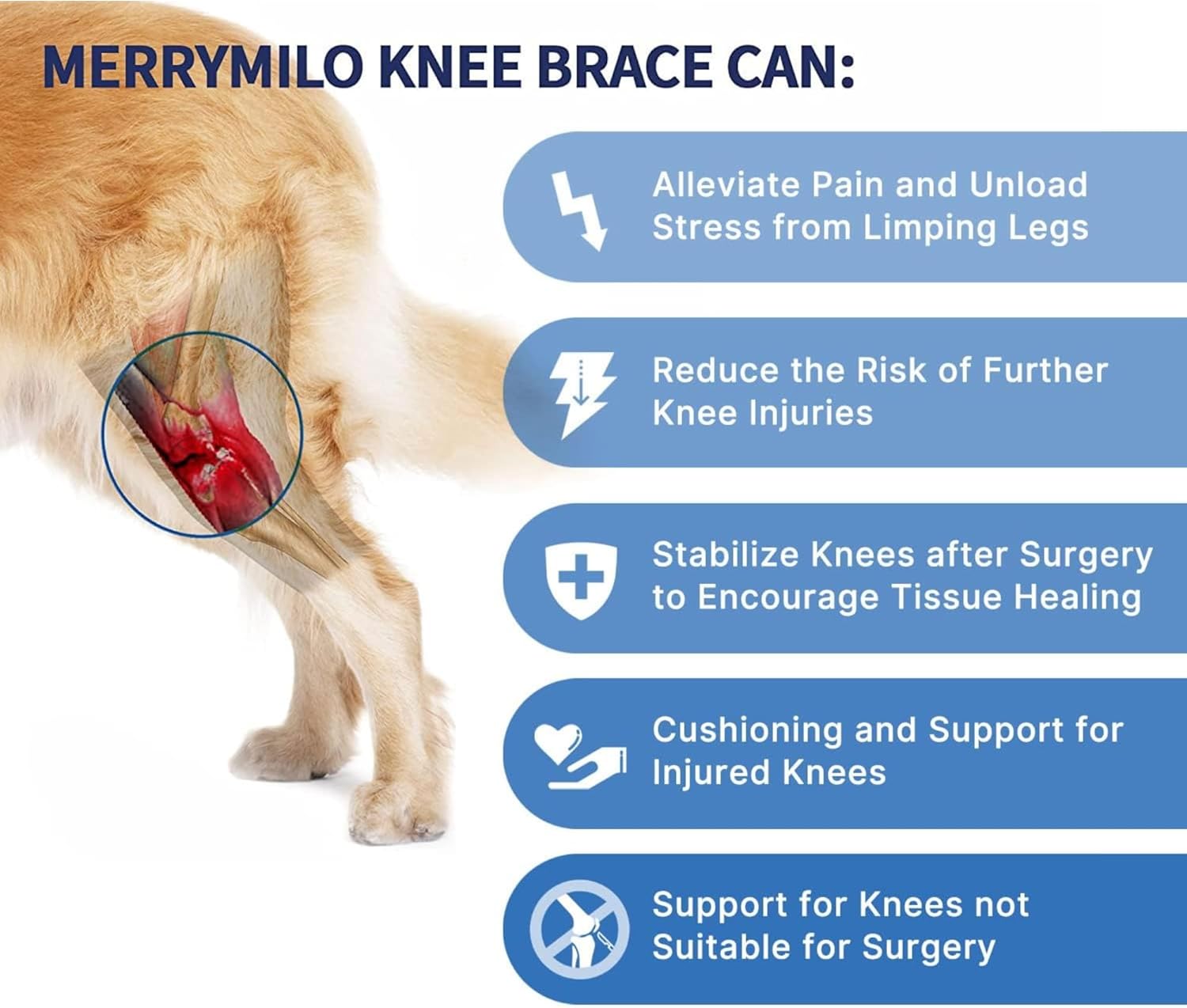 HVSun Rodillera para perro para pierna trasera y trasera, soporte para perro ACL CCL Lesión del ligamento cruzado dolor articular y dolor muscular
