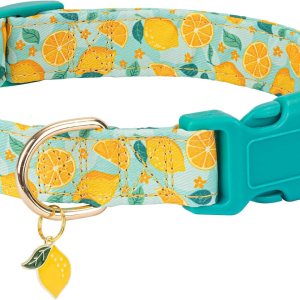 Gelwoo Lindo collar de perro ajustable y ligero para hembras, hembras, hembras, collar de verano suave y elegante con diseño especial de limón, Gelwoo Lindo collar de perro ajustable y ligero para hembras, hembras, hembras, collar de verano suave y elegante con diseño especial de limón,