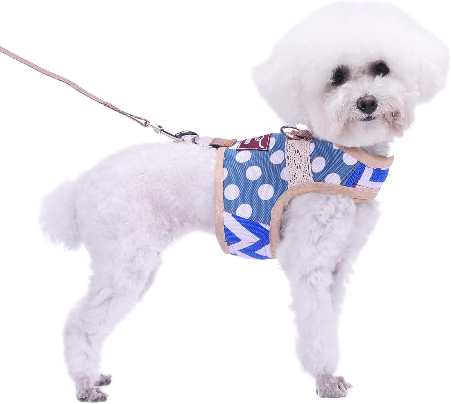 Teacup – Juego de arnés y correa para perro pequeño, chaleco acolchado suave ajustable para taza de té, chihuahua, caniche, yorike, maltés de menos