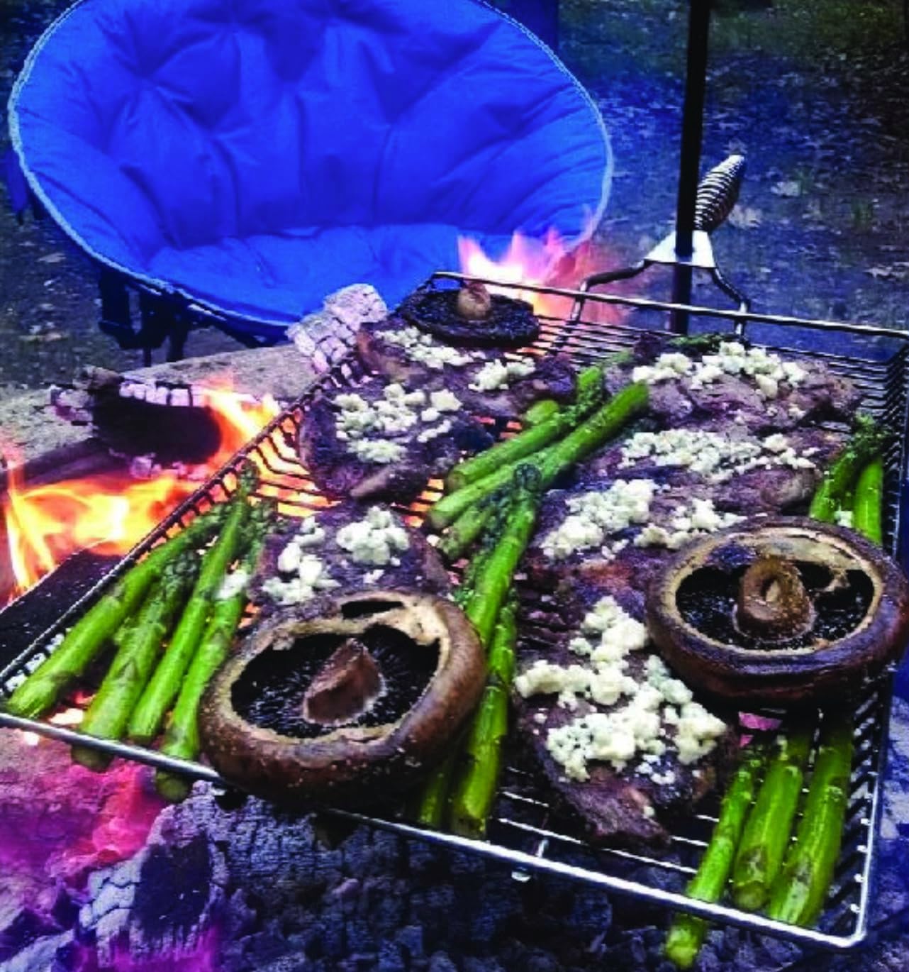 Estaca y parrilla, parrilla de campamento, equipo de cocina a fuego abierto, accesorios para fogatas, rejilla de parrilla de fogata, 15 x 22
